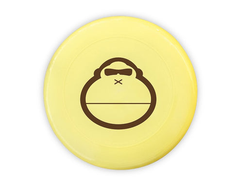Frisbee de Playa